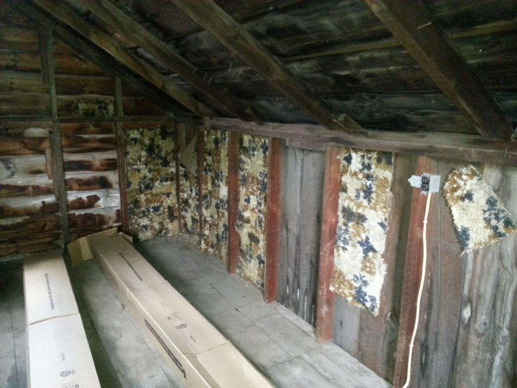 Love Shack carpet wall