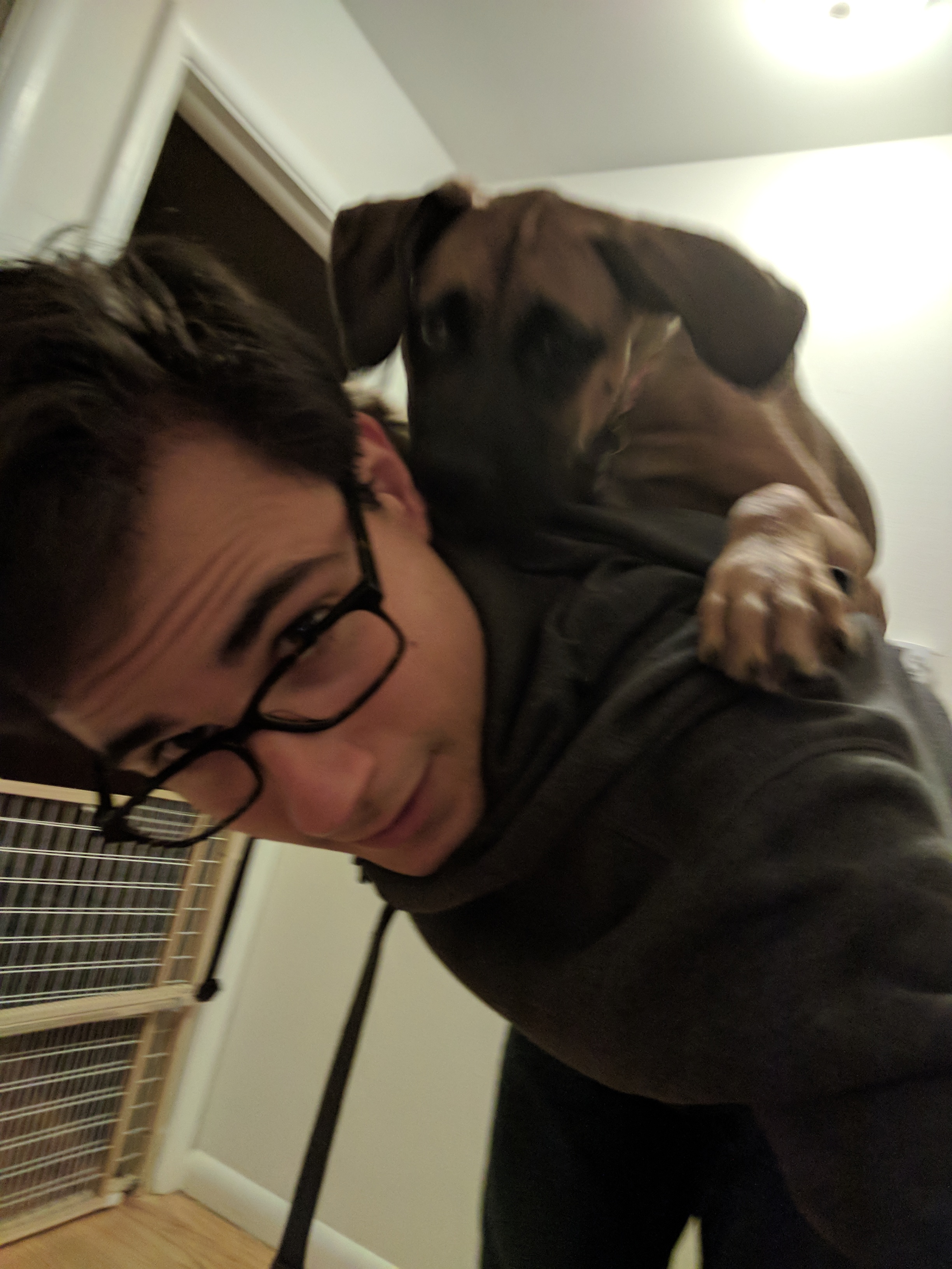 Shoulder dog