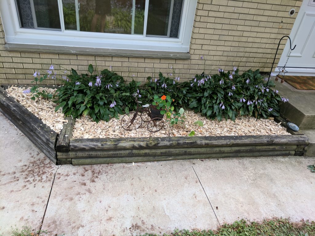 Garden box with mulch - Different angle