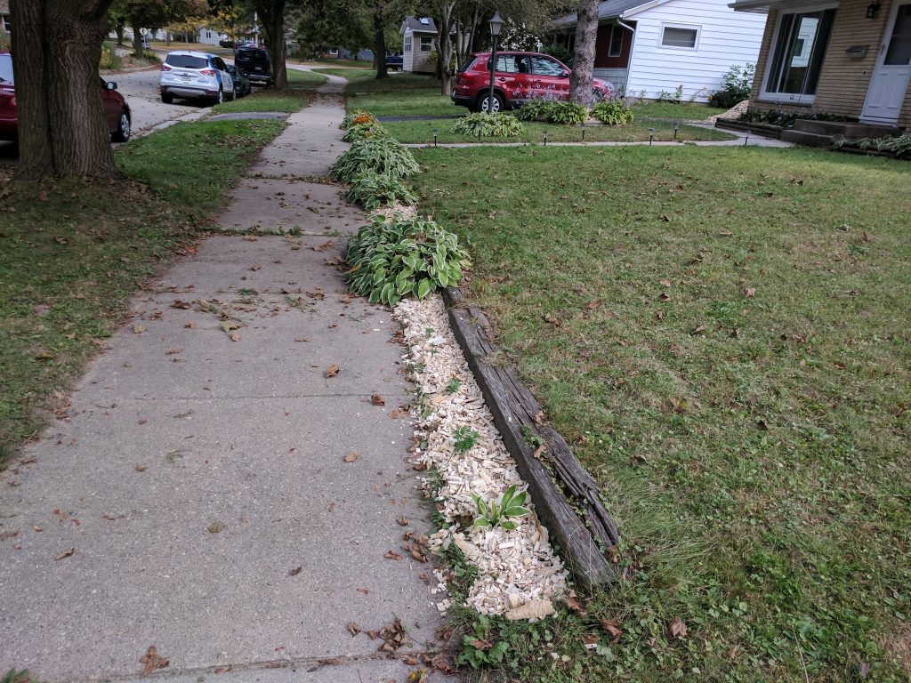 Edge of sidewalk gets the mulch treatment