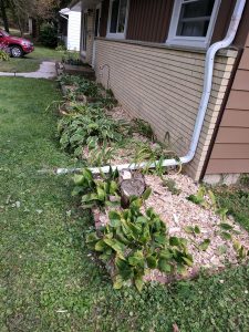 Garden box with mulch - Different Angle