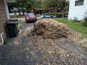 Mulch Pile - Smaller after hauling