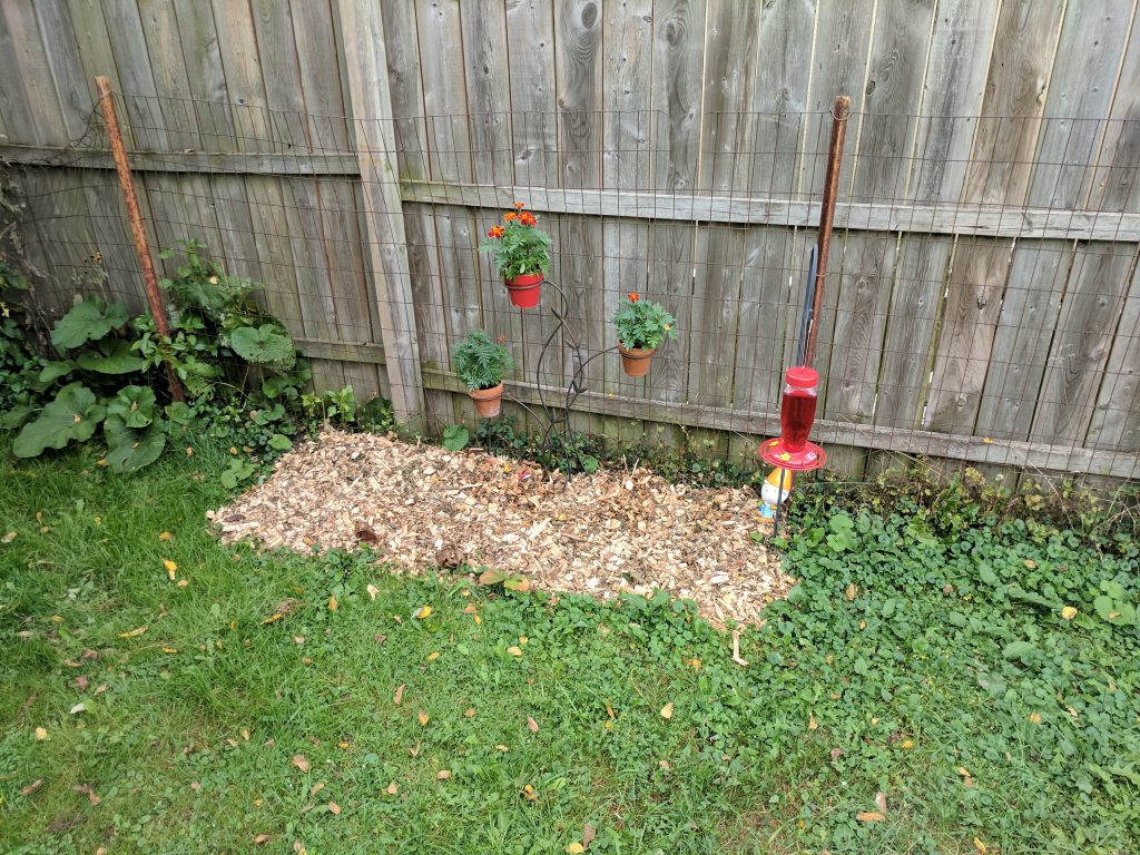 Strawberry patch, mulch