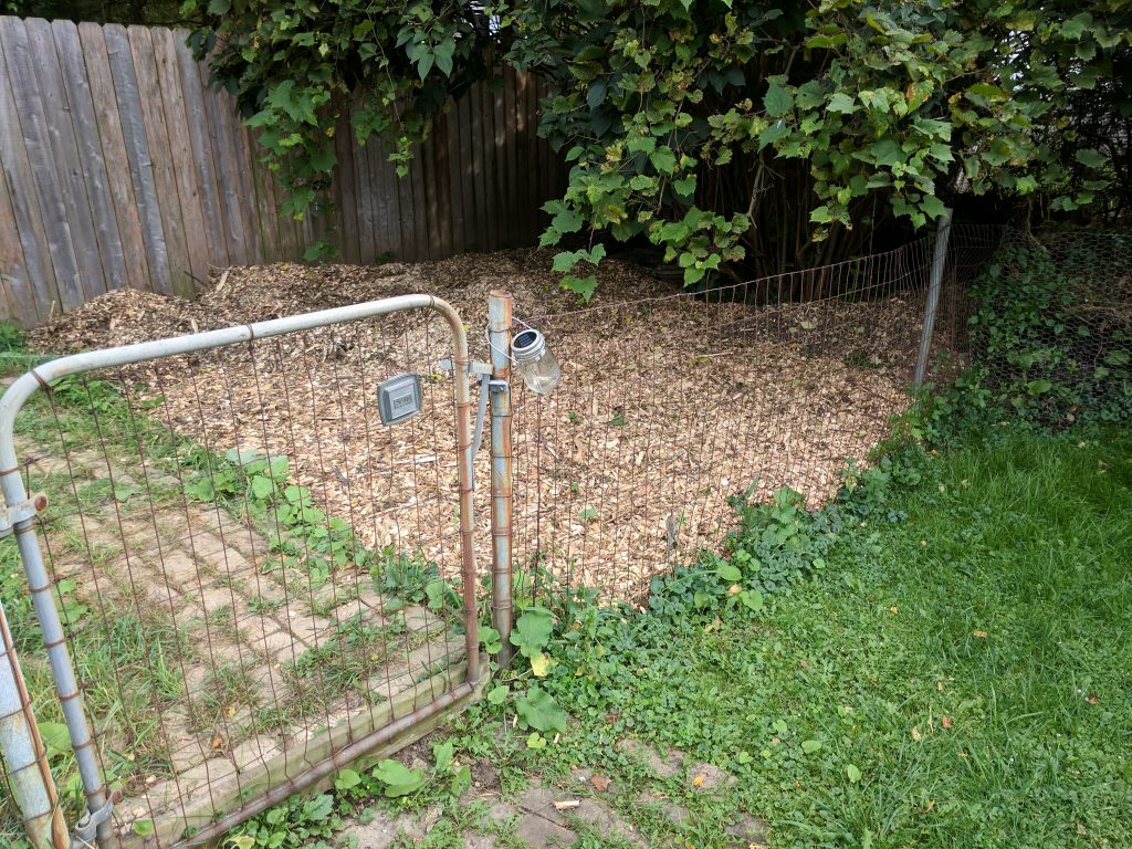 Vegetable garden, mulch