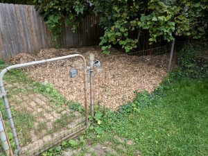 Vegetable garden, mulch