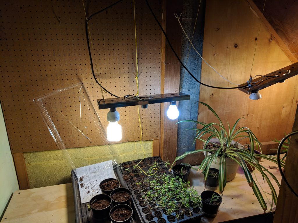 Greenhouse Lights Sassyhacksaws