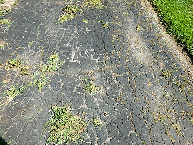 Driveway Resurfacing with weeds