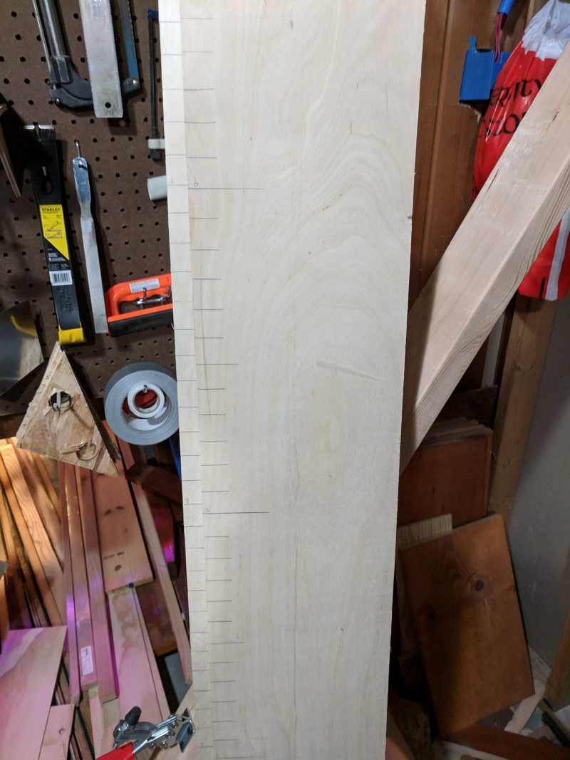 Sassy Ruler Growth Rulers – Sassyhacksaws