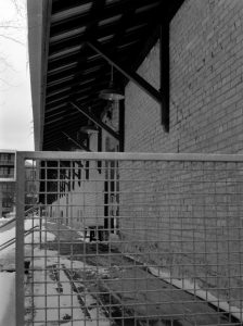 Film Frame